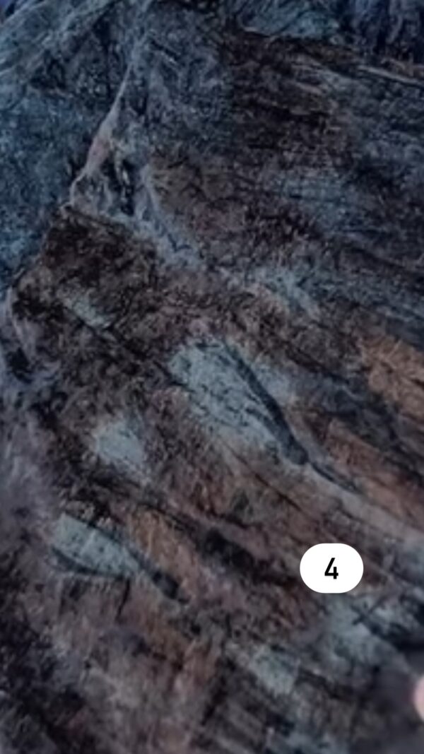 صورة المنتج